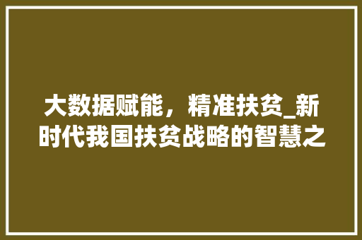 大数据赋能，精准扶贫_新时代我国扶贫战略的智慧之路