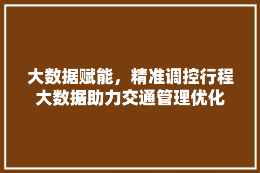 大数据赋能，精准调控行程大数据助力交通管理优化