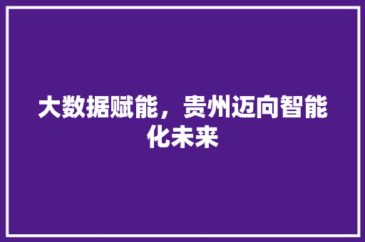 大数据赋能，贵州迈向智能化未来  第1张