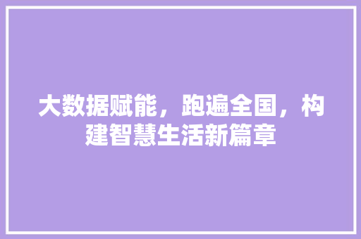 大数据赋能，跑遍全国，构建智慧生活新篇章  第1张