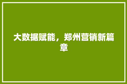 大数据赋能，郑州营销新篇章  第1张