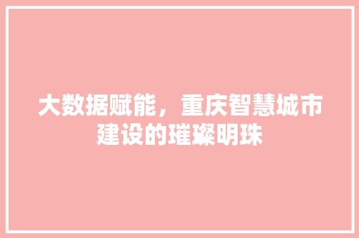 大数据赋能，重庆智慧城市建设的璀璨明珠  第1张