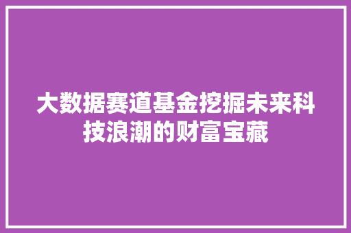 大数据赛道基金挖掘未来科技浪潮的财富宝藏  第1张