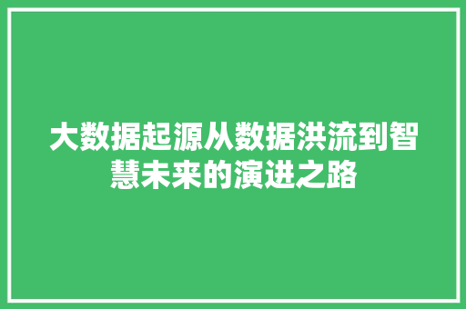 大数据起源从数据洪流到智慧未来的演进之路  第1张