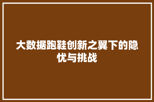 大数据跑鞋创新之翼下的隐忧与挑战