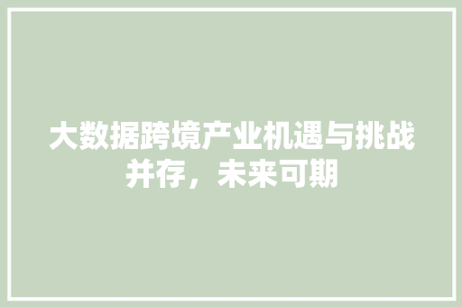 大数据跨境产业机遇与挑战并存，未来可期  第1张