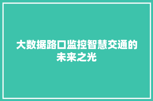 大数据路口监控智慧交通的未来之光  第1张