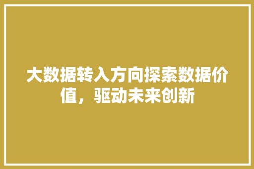 大数据转入方向探索数据价值，驱动未来创新