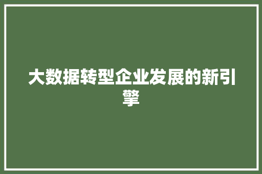 大数据转型企业发展的新引擎  第1张