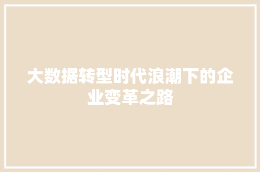 大数据转型时代浪潮下的企业变革之路