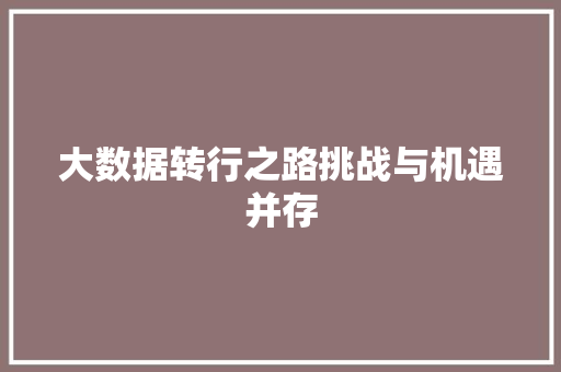 大数据转行之路挑战与机遇并存