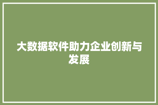 大数据软件助力企业创新与发展  第1张