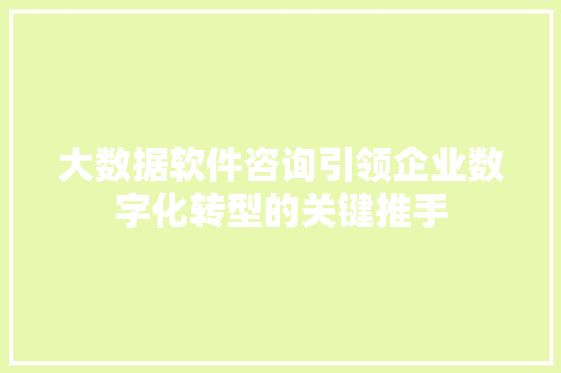 大数据软件咨询引领企业数字化转型的关键推手