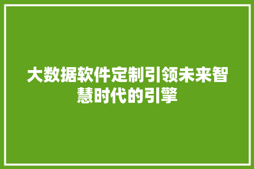 大数据软件定制引领未来智慧时代的引擎