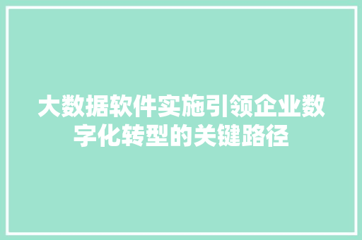 大数据软件实施引领企业数字化转型的关键路径