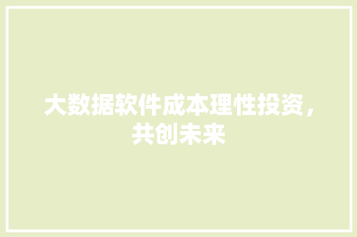 大数据软件成本理性投资，共创未来  第1张