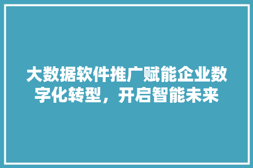 大数据软件推广赋能企业数字化转型，开启智能未来  第1张