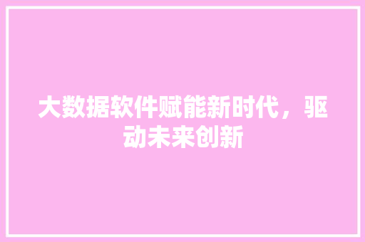 大数据软件赋能新时代，驱动未来创新  第1张
