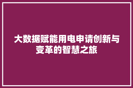 大数据赋能用电申请创新与变革的智慧之旅