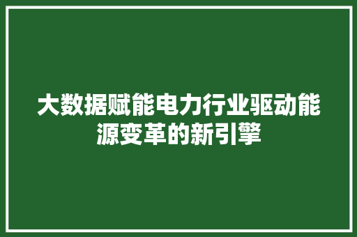 大数据赋能电力行业驱动能源变革的新引擎