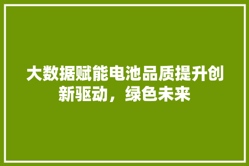 大数据赋能电池品质提升创新驱动，绿色未来  第1张