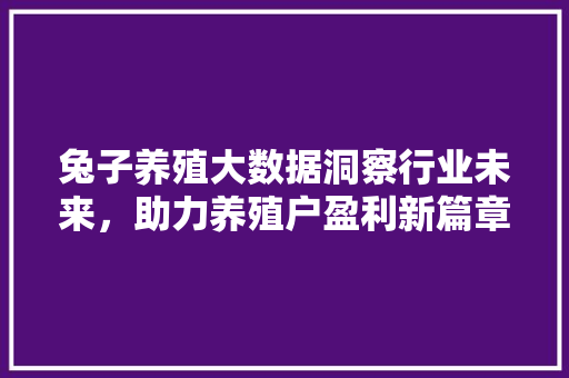 兔子养殖大数据洞察行业未来，助力养殖户盈利新篇章  第1张