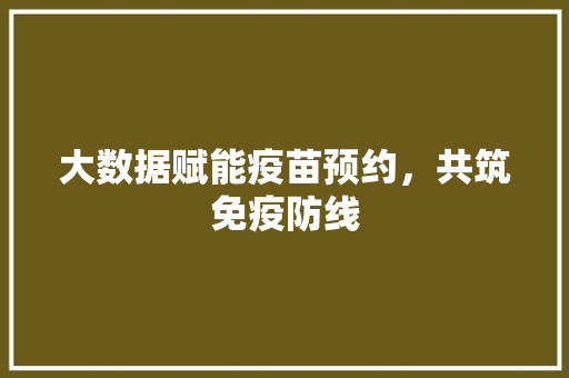 大数据赋能疫苗预约，共筑免疫防线