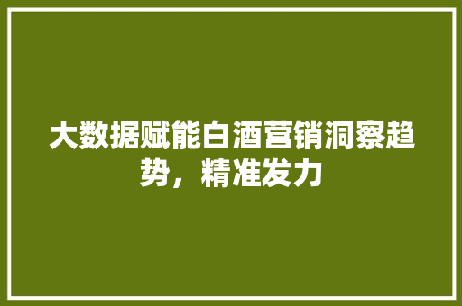 大数据赋能白酒营销洞察趋势，精准发力