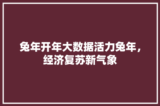兔年开年大数据活力兔年，经济复苏新气象  第1张