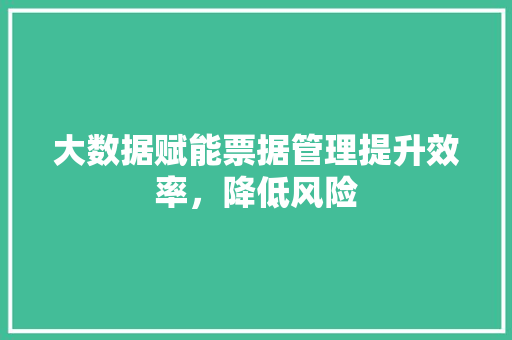 大数据赋能票据管理提升效率，降低风险