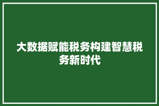 大数据赋能税务构建智慧税务新时代  第1张