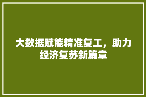 大数据赋能精准复工，助力经济复苏新篇章