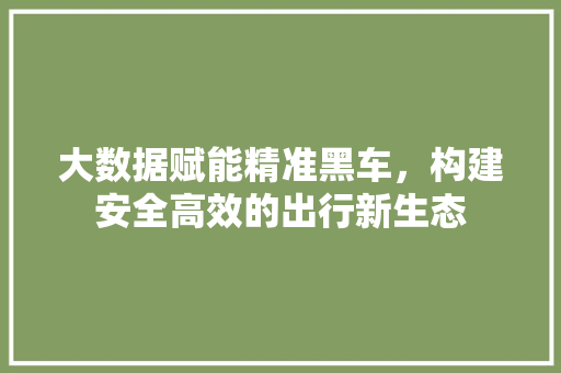 大数据赋能精准黑车，构建安全高效的出行新生态