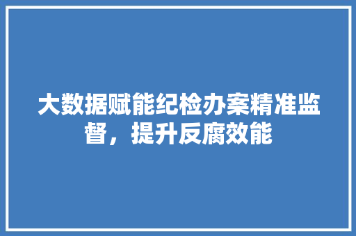 大数据赋能纪检办案精准监督，提升反腐效能