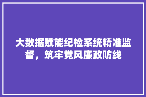大数据赋能纪检系统精准监督，筑牢党风廉政防线  第1张