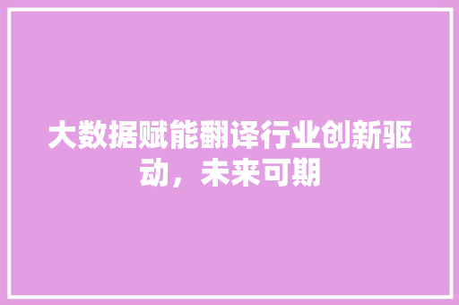 大数据赋能翻译行业创新驱动，未来可期