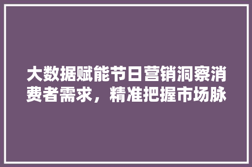 大数据赋能节日营销洞察消费者需求，精准把握市场脉搏  第1张