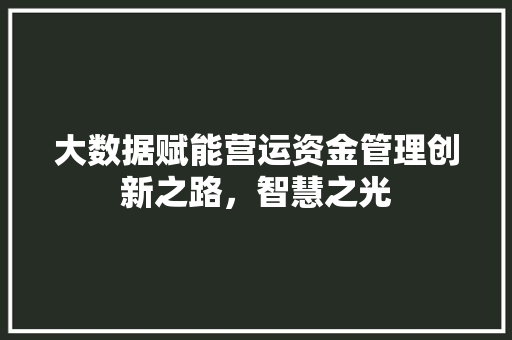 大数据赋能营运资金管理创新之路，智慧之光