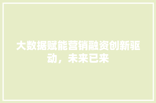 大数据赋能营销融资创新驱动，未来已来  第1张