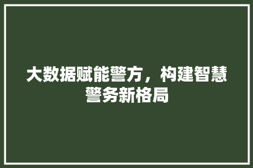 大数据赋能警方，构建智慧警务新格局