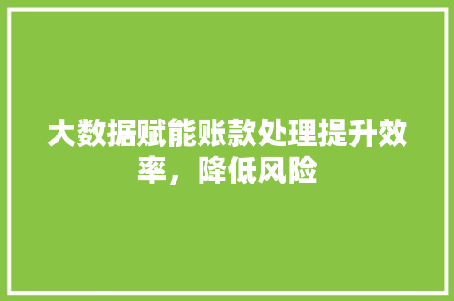 大数据赋能账款处理提升效率，降低风险
