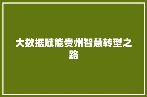 大数据赋能贵州智慧转型之路  第1张
