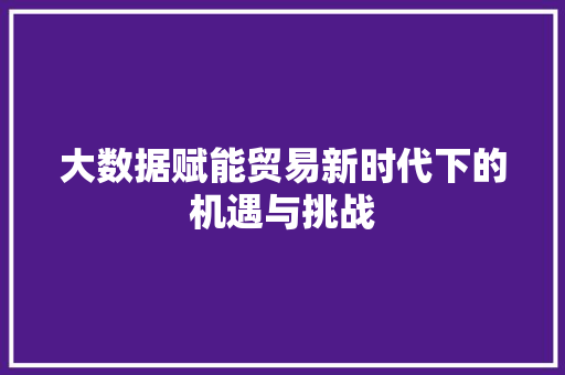 大数据赋能贸易新时代下的机遇与挑战