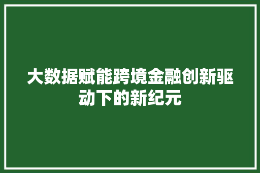 大数据赋能跨境金融创新驱动下的新纪元  第1张