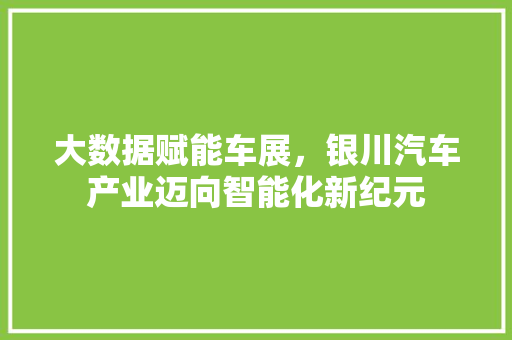 大数据赋能车展，银川汽车产业迈向智能化新纪元  第1张