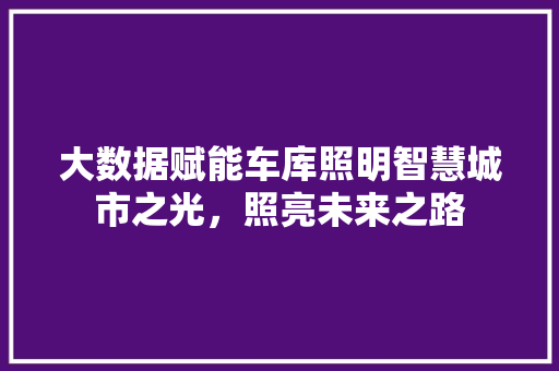 大数据赋能车库照明智慧城市之光，照亮未来之路