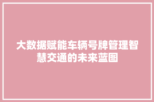 大数据赋能车辆号牌管理智慧交通的未来蓝图