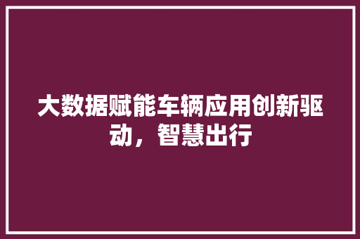 大数据赋能车辆应用创新驱动，智慧出行