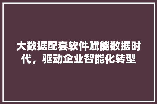 大数据配套软件赋能数据时代，驱动企业智能化转型  第1张