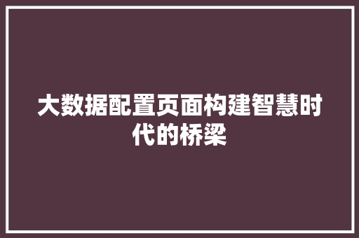 大数据配置页面构建智慧时代的桥梁